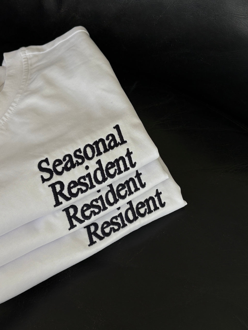 Embroidered T-Shirt - White
