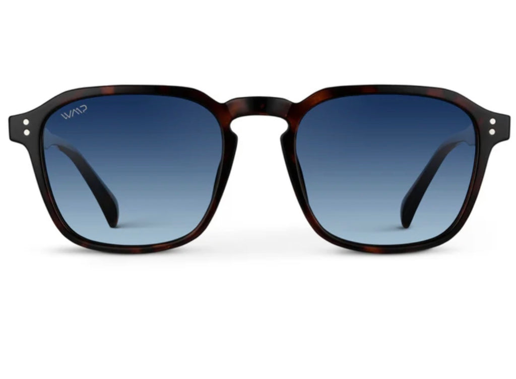 Francis Sunglasses