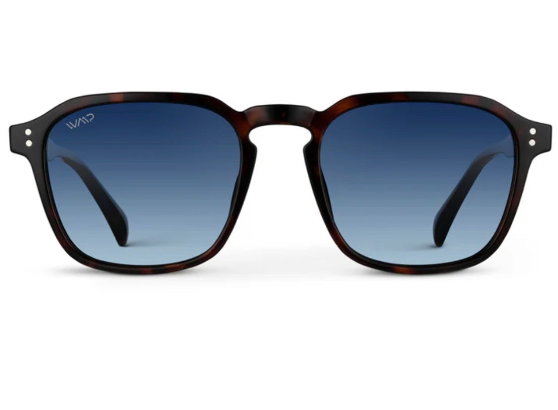 Francis Sunglasses