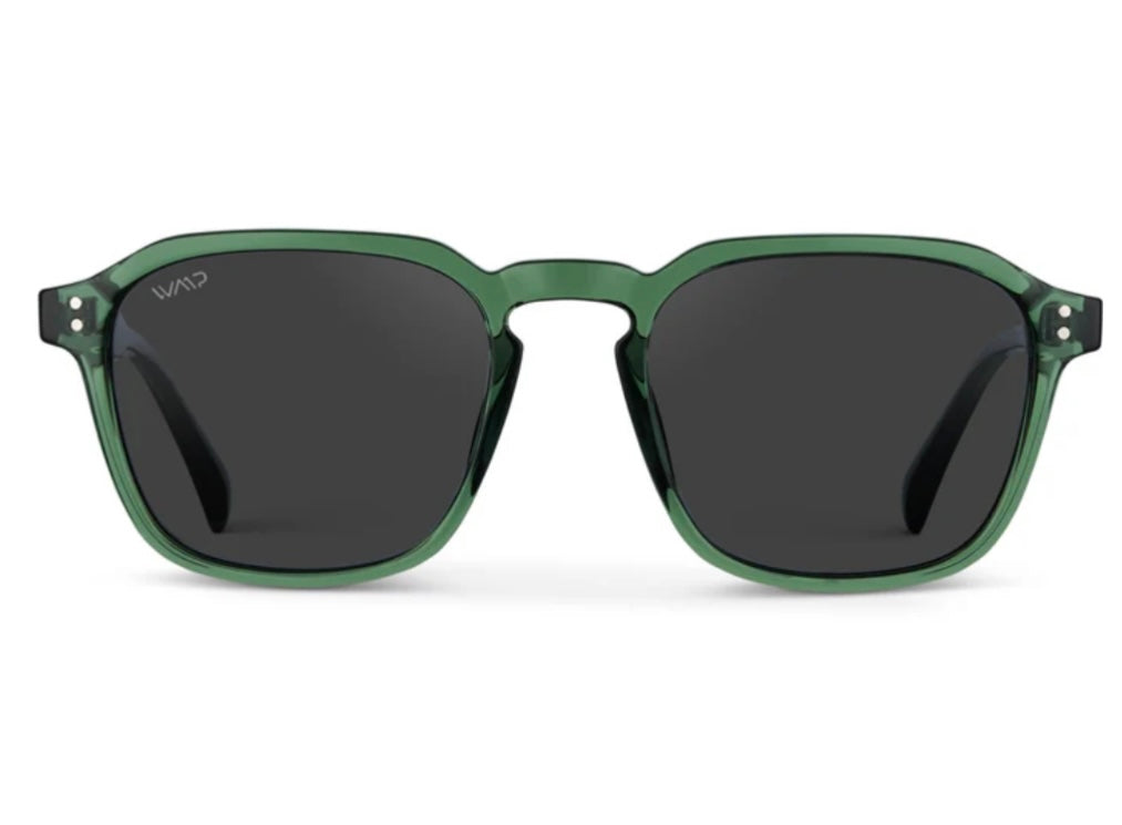 Francis Sunglasses